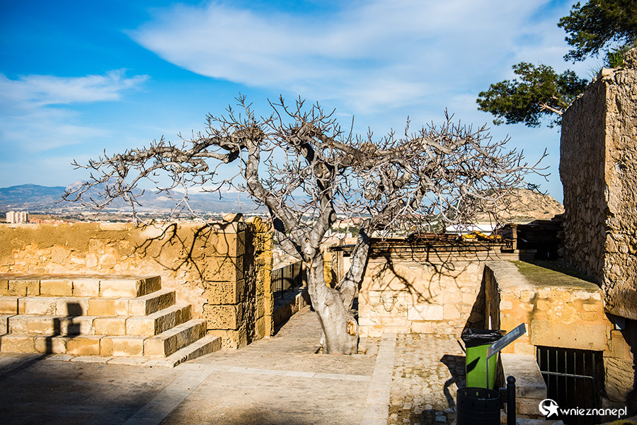 Alicante. - foto: wnieznane.pl