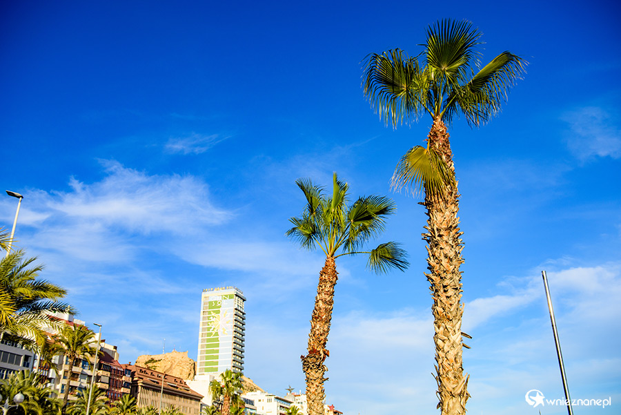 Alicante. - foto: wnieznane.pl