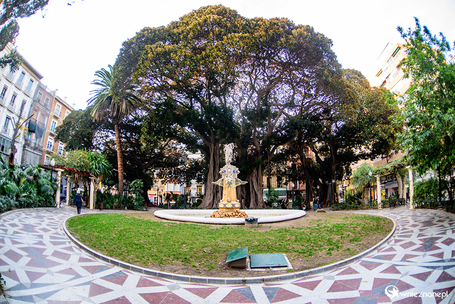 Alicante. - foto: wnieznane.pl