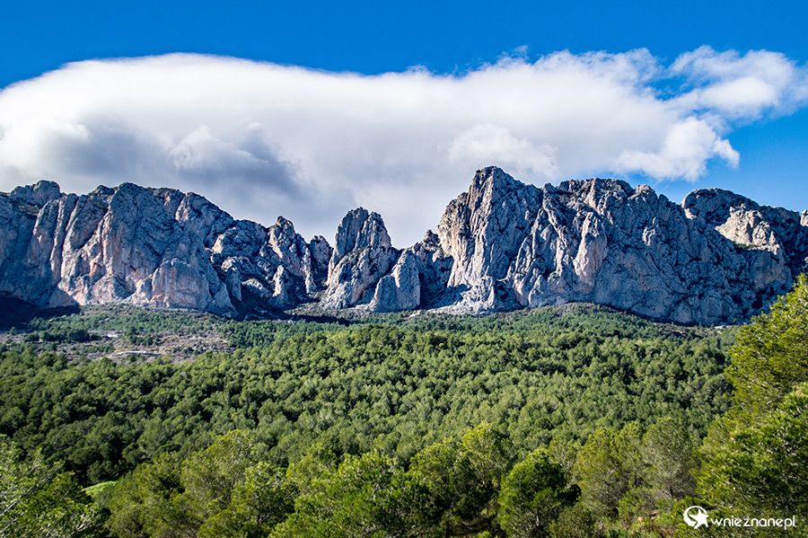 Benidorm. - foto: wnieznane.pl