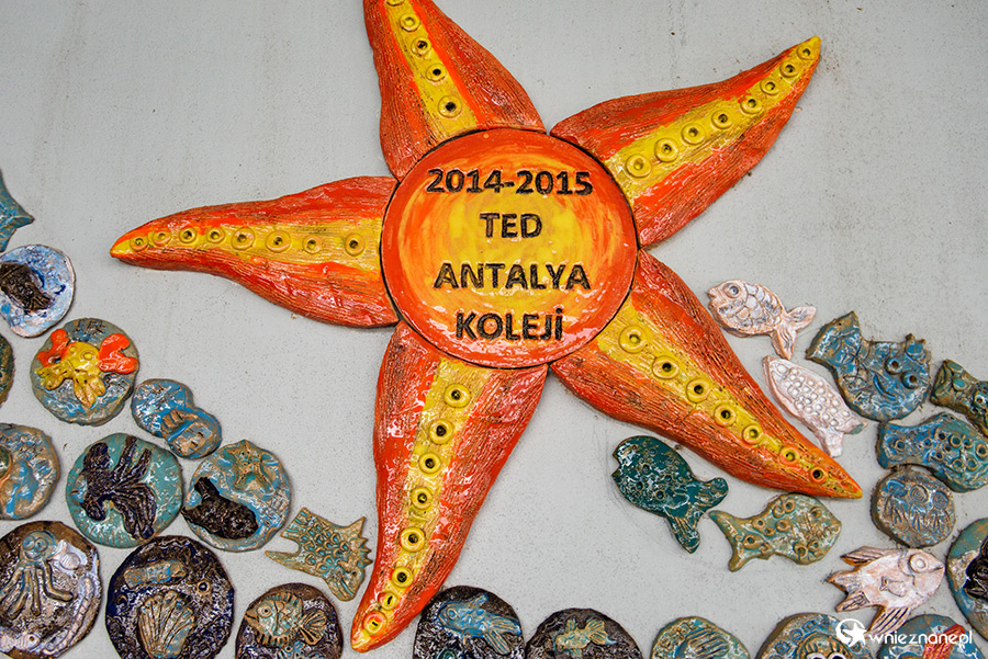 Antalya. Akwarium z podwodnym tunelem o długości 131 m. - foto: wnieznane.pl