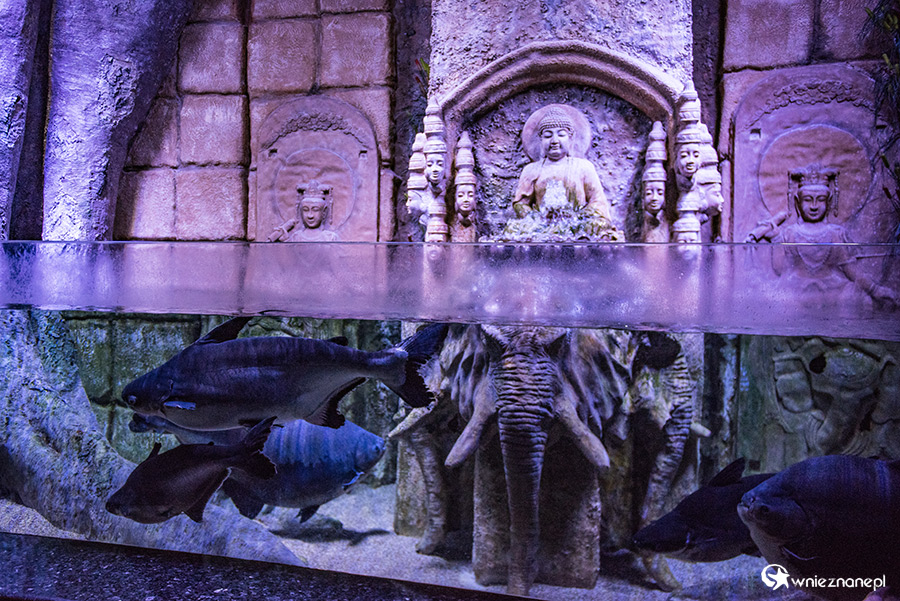 Antalya. Akwarium z podwodnym tunelem o długości 131 m. - foto: wnieznane.pl Antalya. Akwarium z podwodnym tunelem o długości 131 m. - foto: wnieznane.pl