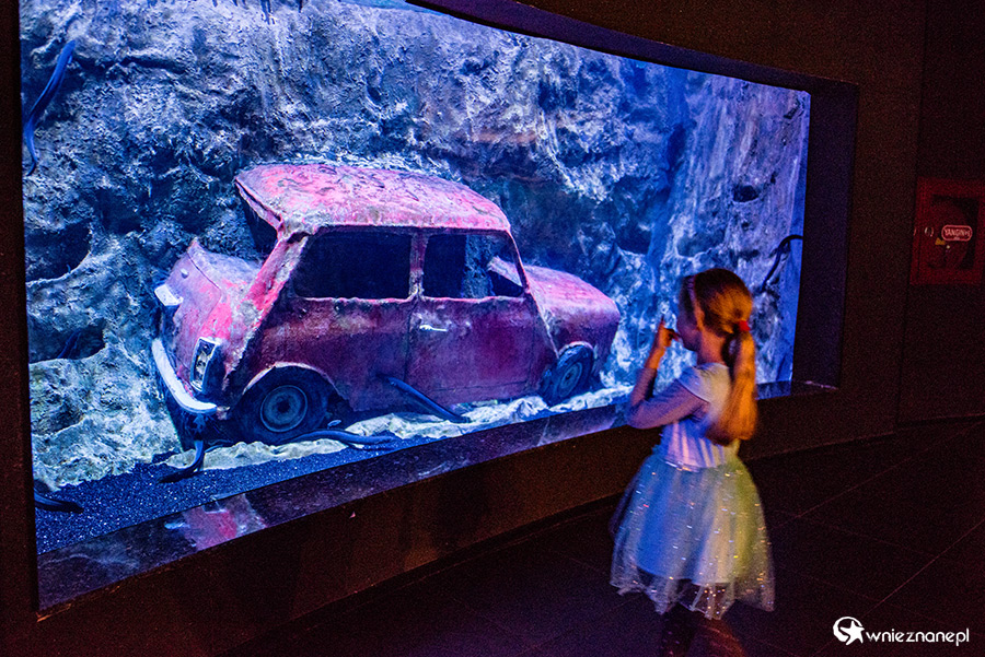 Antalya. Akwarium z podwodnym tunelem o długości 131 m. - foto: wnieznane.pl