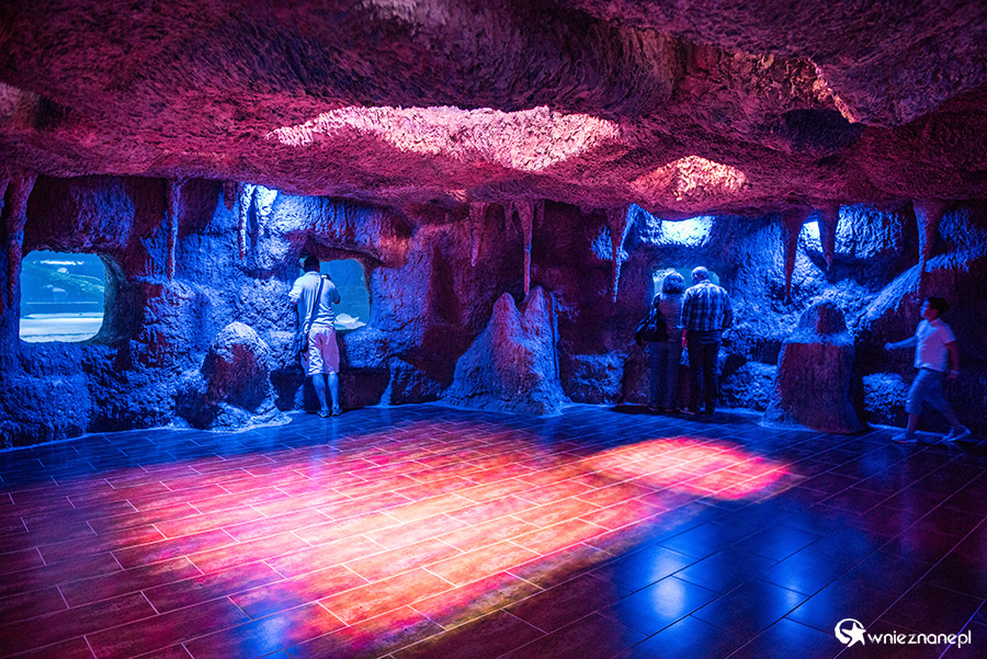 Antalya. Akwarium z podwodnym tunelem o długości 131 m. - foto: wnieznane.pl