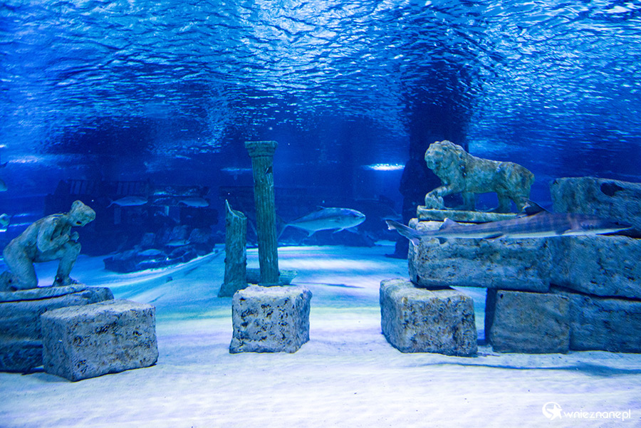 Antalya. Akwarium z podwodnym tunelem o długości 131 m. - foto: wnieznane.pl Antalya. Akwarium z podwodnym tunelem o długości 131 m. - foto: wnieznane.pl