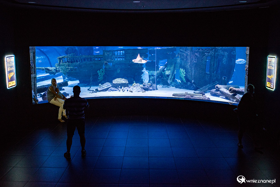 Antalya. Akwarium z podwodnym tunelem o długości 131 m. - foto: wnieznane.pl