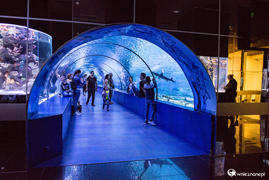 Antalya. Akwarium z podwodnym tunelem o długości 131 m. - foto: wnieznane.pl