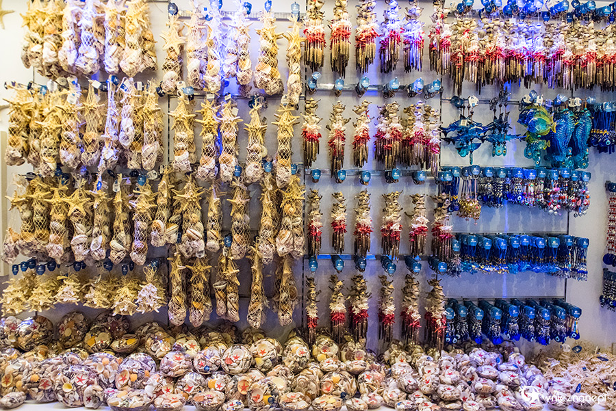 Antalya. Akwarium z podwodnym tunelem o długości 131 m. - foto: wnieznane.pl Antalya. Akwarium z podwodnym tunelem o długości 131 m. - foto: wnieznane.pl