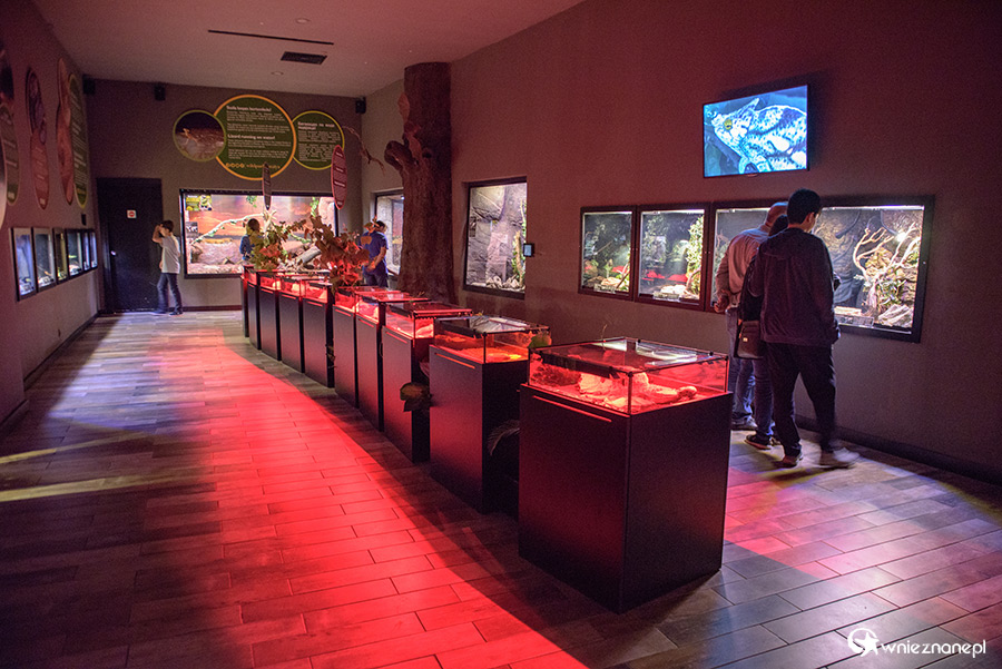 Antalya. Akwarium z podwodnym tunelem o długości 131 m. - foto: wnieznane.pl