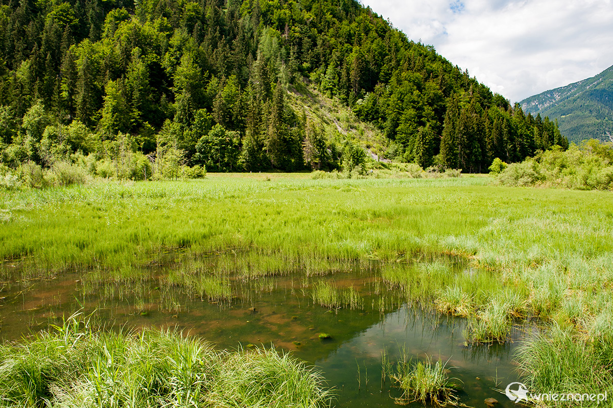 Alpy Austriackie. - foto: wnieznane.pl
