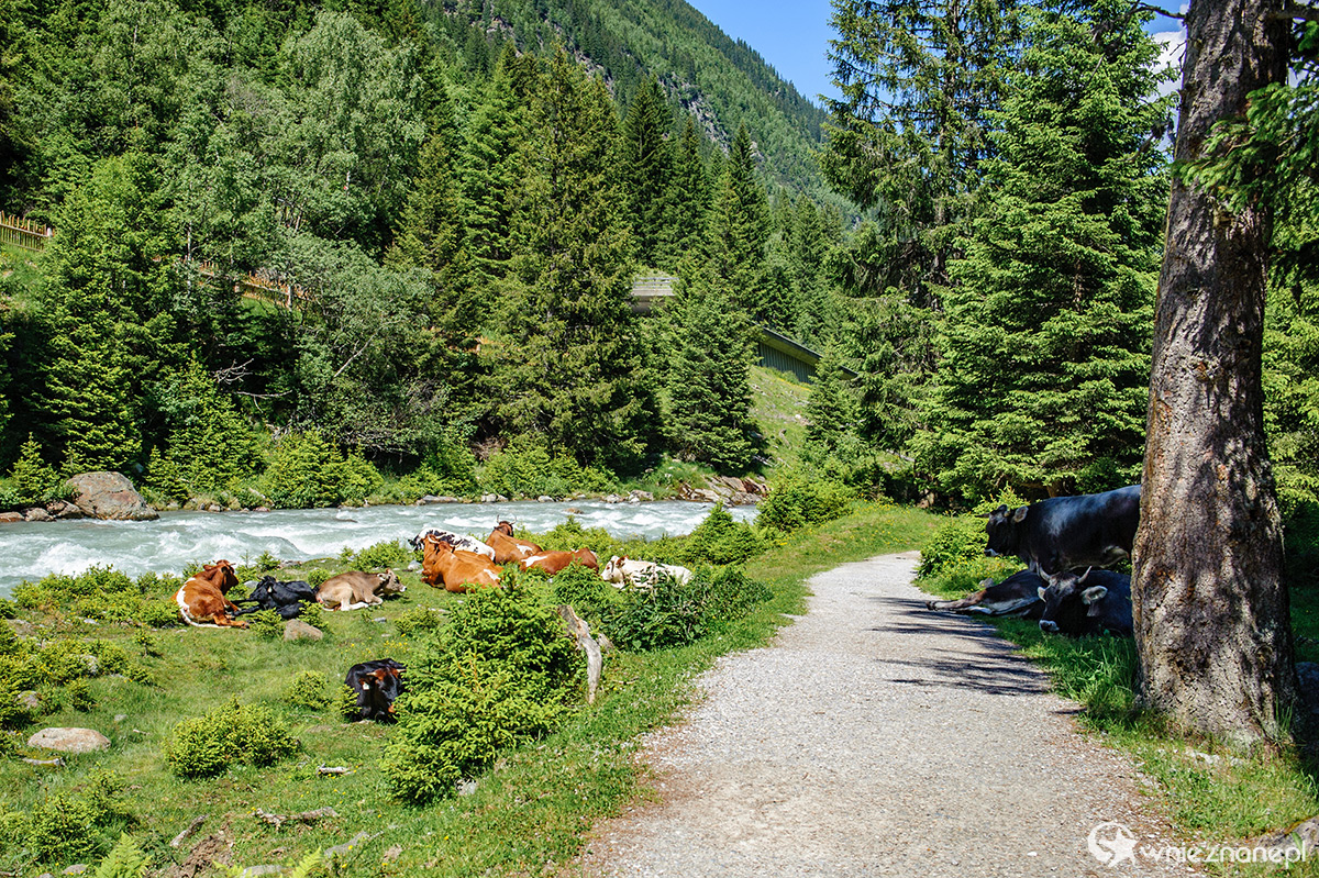 Alpy Austriackie. - foto: wnieznane.pl