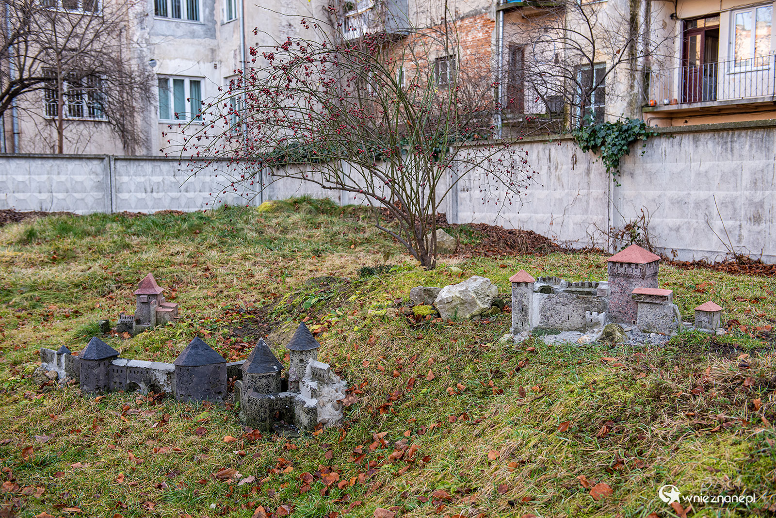 Lwów - foto: wnieznane.pl