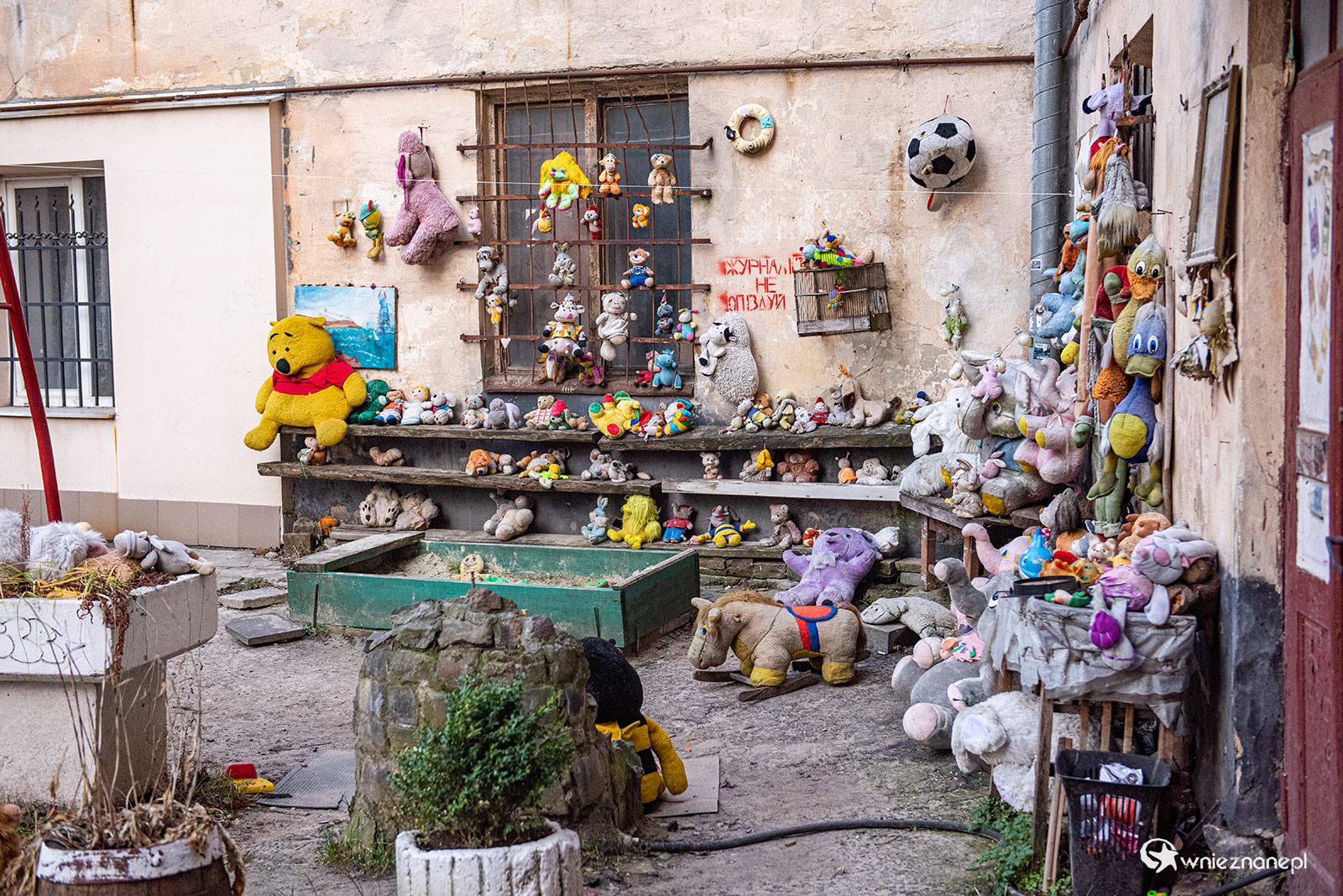 Lwów - foto: wnieznane.pl