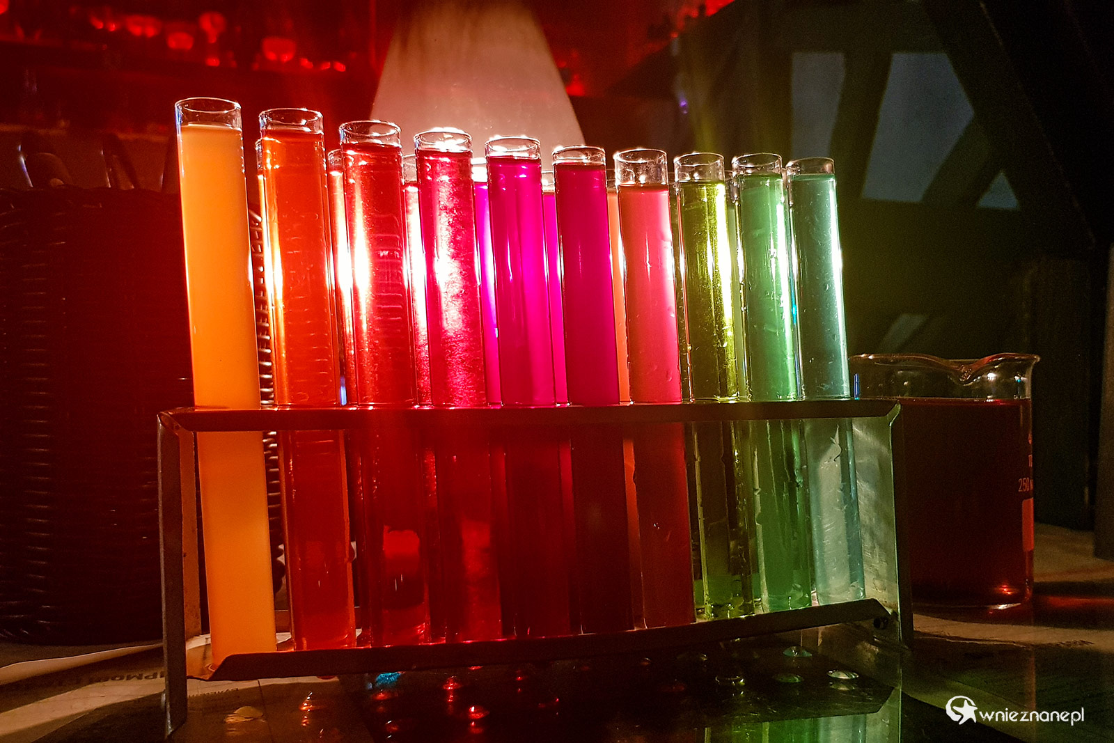 Lwów - foto: wnieznane.pl