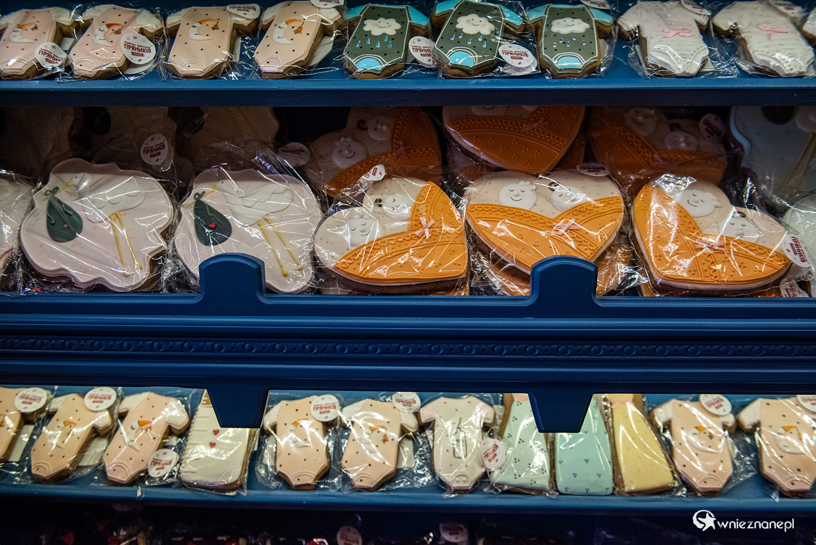 Lwów - foto: wnieznane.pl