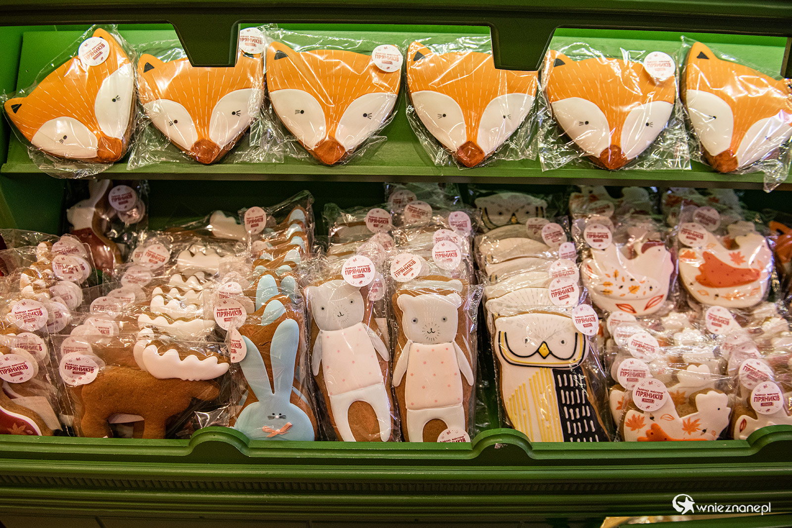 Lwów - foto: wnieznane.pl