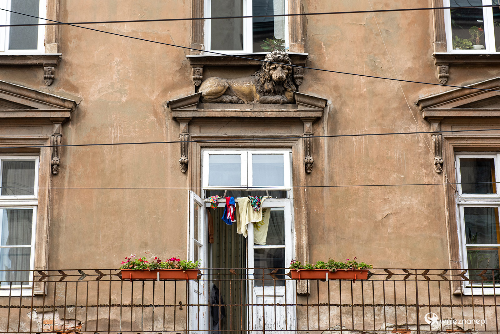 Lwów - foto: wnieznane.pl