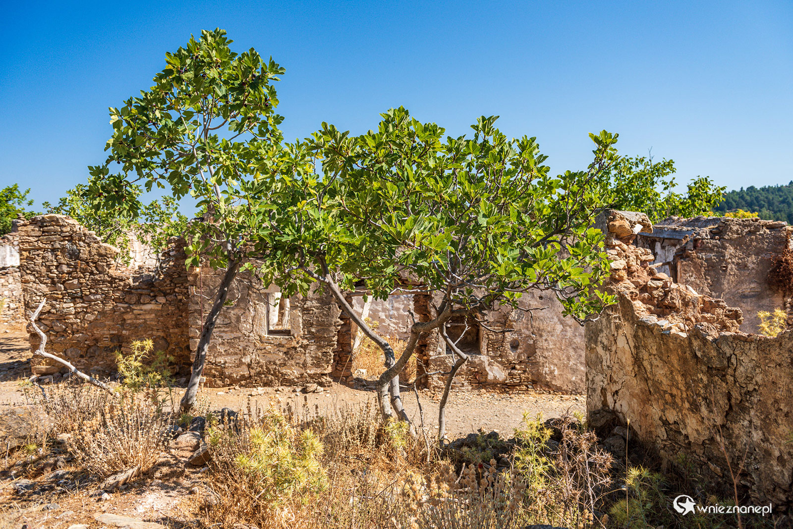 Kos. Opuszczona wioska Palio Pyli. - foto: wnieznane.pl