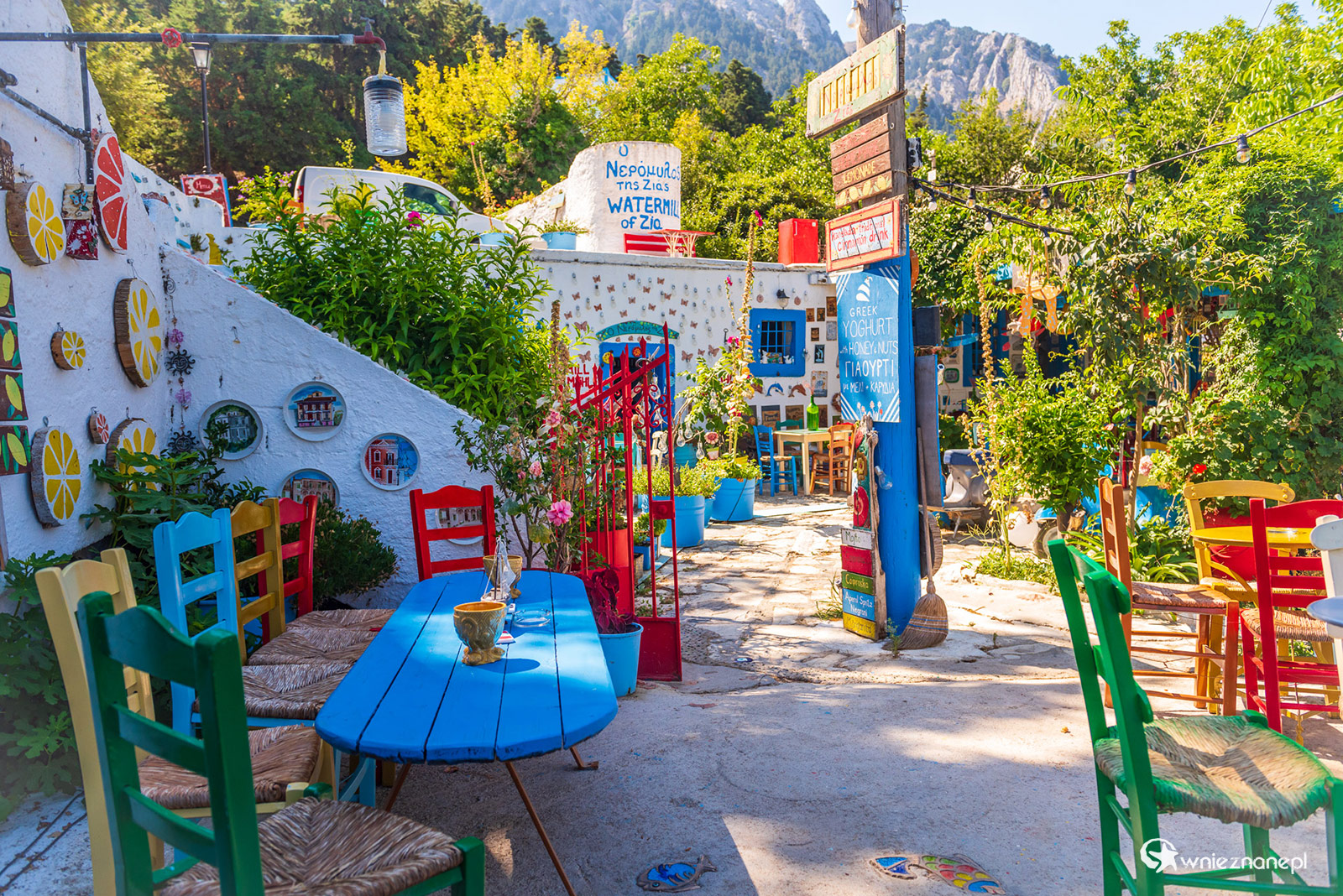 Kos. W kawiarni Watermill of Zia. - foto: wnieznane.pl