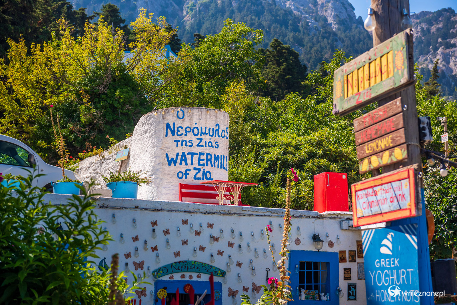 Kos. W kawiarni Watermill of Zia. - foto: wnieznane.pl Kos. W kawiarni Watermill of Zia. - foto: wnieznane.pl