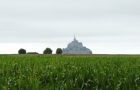 Północna Francja. Pole kukurydzy. W tle skała Mont Saint-Michel. - foto: wnieznane.pl