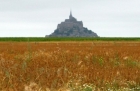 Północna Francja, na pierwszym planie łąka, w tle skała Mont Saint-Michel. - foto: wnieznane.pl