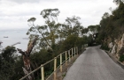 Gibraltar. Wąska droga na Upper Rock. - foto: wnieznane.pl