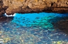 Grecka wyspa Korfu. Maleńka Blue Eye Cave, jedna z Błękitnych Grot u wybrzeża Paleokastritsy. Pod wodą widać ławicę ryb - foto: wnieznane.pl