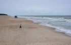 Palanga. Piękna, szeroka, piaszczysta plaża i... sprint do lodowatej wody! - foto: wnieznane.pl