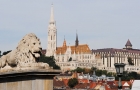Budapeszt. Na pierwszym planie lew u wylotu Mostu Łańcuchowego, a w tle Kościół św. Macieja na Starym Mieście.  - foto: wnieznane.pl