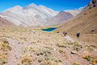 Argentyna. Parque Provincial Aconcagua. Osiołki pełniące funkcję tragarzy. - foto: wnieznane.pl