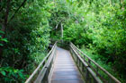 Argentyna. Parque Nacional Iguazu. Wyznaczone szlaki pozwalają być jeszcze bliżej natury. - foto: wnieznane.pl
