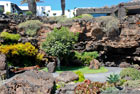 Wyspy Kanaryjskie: Kamienisto-roślinny raj w Jameos del Aqua - foto: wnieznane.pl