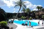 Wyspy Kanarysjkie: Basen i palmy w Jameos del Aqua - foto: wnieznane.pl