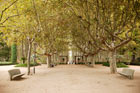 Katalonia, Girona. Między piaszczystymi alejkami znajdziemy ławki skryte w cieniu licznych drzew. - foto: wnieznane.pl