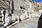 Ateny. Kamienne lwy zdobią Propyleje na Akropolu. - foto: wnieznane.pl