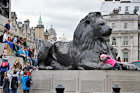 Londyn. Wielki Lew u podstawy Kolumny Nelsona na Trafalgar Square. - foto: wnieznane.pl