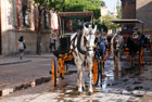 Sewilla. Dorożki wpisują się w krajobraz uliczek okalających Katedrę. - foto: wnieznane.pl