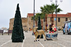Cypr zimą. Świąteczne dekoracje na promenadzie w Larnace. - foto: wnieznane.pl
