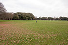 Dublin. Phoenix Park należy do największych miejskich parków w Europie. - foto: wnieznane.pl
