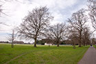Dublin. Phoenix Park sprzyja spacerom. - foto: wnieznane.pl