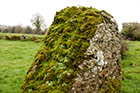 Irlandia. Lough Gur Stone, czyli pozostałości sprzed 3000 lat p.n.e. - foto: wnieznane.pl