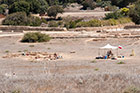 Cypr latem. Polscy archeolodzy prowadzą wykopaliska w Pafos. - foto: wnieznane.pl