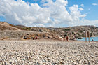 Cypr latem. Petra tou Romiou - kamienista plaża przy Skale Afrodyty.  - foto: wnieznane.pl