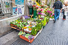 Madryt. Uliczna kwiaciarnia w dzielnicy Rastro. - foto: wnieznane.pl