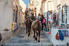 Santorini. Po uliczkach Oi można przemieszczać się na osiołkach. - foto: wnieznane.pl