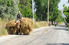 Bodrum. W drodze do Jeziora Bafa... mężczyzna zwozi siano bezpośrednio na grzbiecie konia. - foto: wnieznane.pl