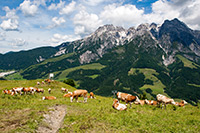 Alpy Austriackie. - foto: wnieznane.pl