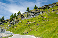 Alpy Austriackie. - foto: wnieznane.pl