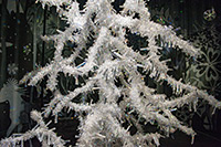 Alpy Austriackie. - foto: wnieznane.pl